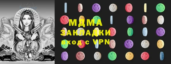 хмурый Аркадак