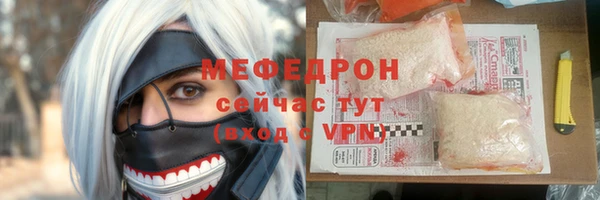 хмурый Аркадак