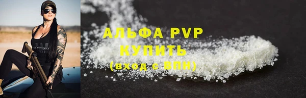 прущие грибы Михайловск
