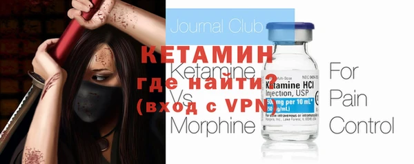 хмурый Аркадак