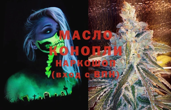хмурый Аркадак