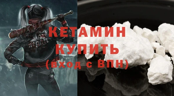 хмурый Аркадак