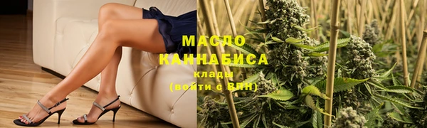 хмурый Аркадак