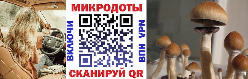 цена   Тайга  Галлюциногенные грибы MAGIC MUSHROOMS 